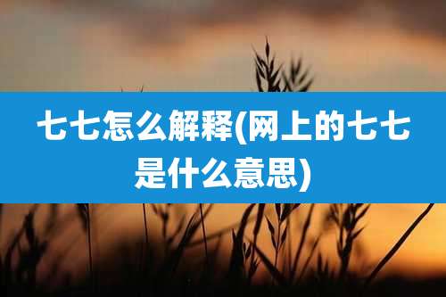 七七怎么解释(网上的七七是什么意思)
