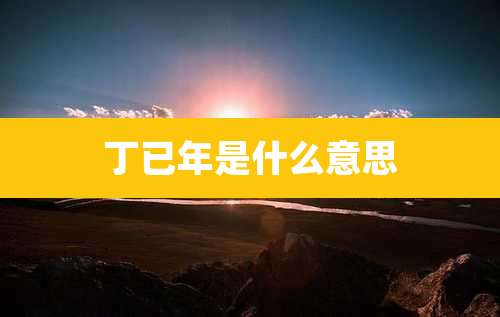 丁已年是什么意思