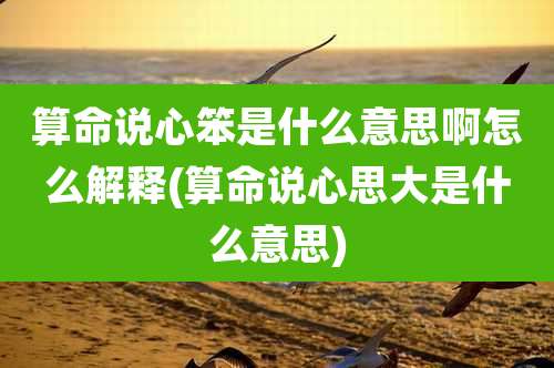 算命说心笨是什么意思啊怎么解释(算命说心思大是什么意思)