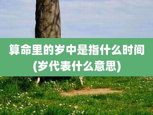 算命里的岁中是指什么时间(岁代表什么意思)