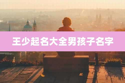 王少起名大全男孩子名字