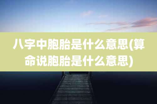 八字中胞胎是什么意思(算命说胞胎是什么意思)