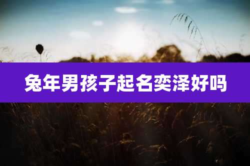 兔年男孩子起名奕泽好吗