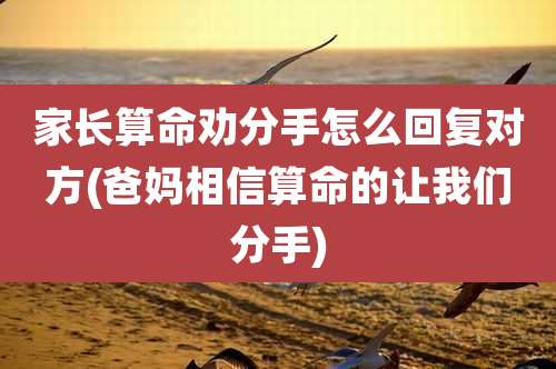 家长算命劝分手怎么回复对方(爸妈相信算命的让我们分手)