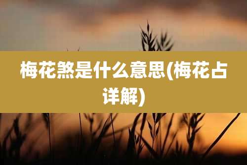 梅花煞是什么意思(梅花占详解)