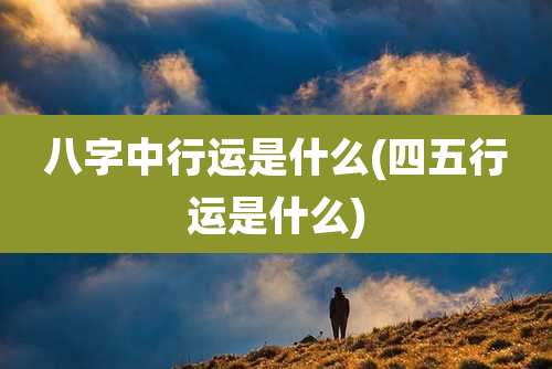 八字中行运是什么(四五行运是什么)