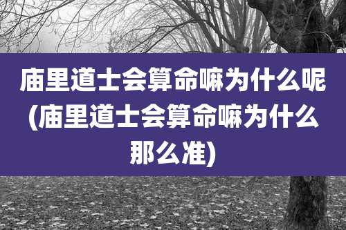 庙里道士会算命嘛为什么呢(庙里道士会算命嘛为什么那么准)