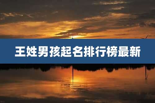 王姓男孩起名排行榜最新