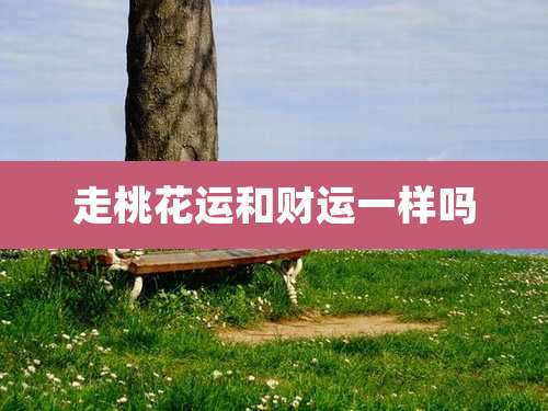 走桃花运和财运一样吗