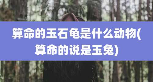 算命的玉石龟是什么动物(算命的说是玉兔)