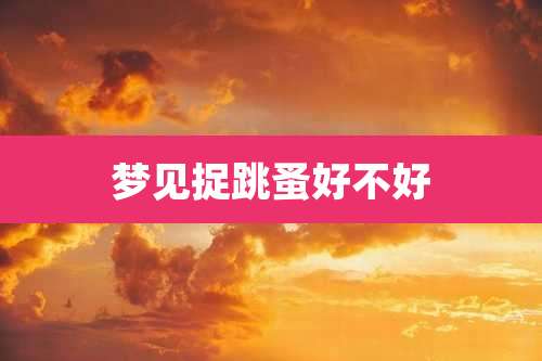 梦见捉跳蚤好不好
