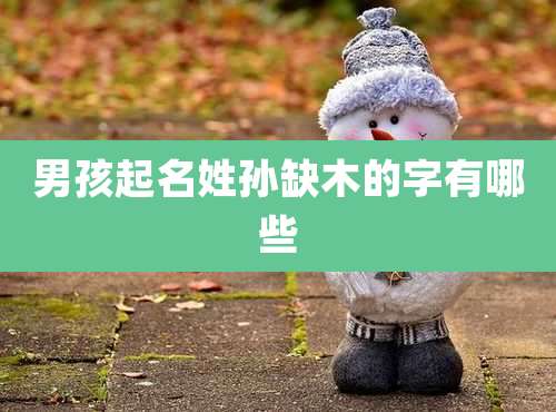 男孩起名姓孙缺木的字有哪些