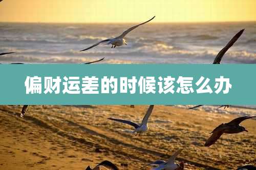 偏财运差的时候该怎么办