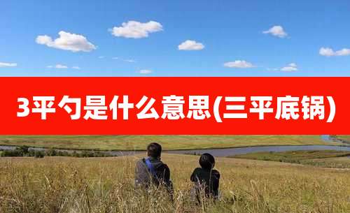 3平勺是什么意思(三平底锅)
