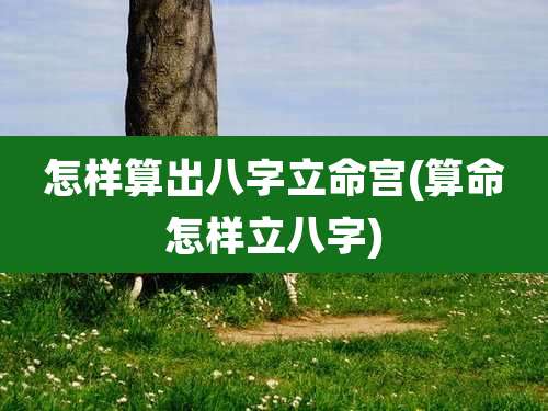 怎样算出八字立命宫(算命怎样立八字)
