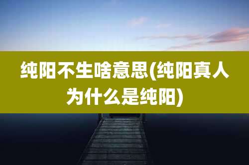 纯阳不生啥意思(纯阳真人为什么是纯阳)