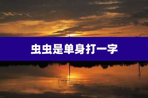 虫虫是单身打一字