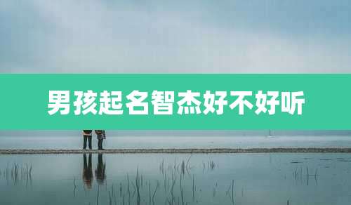 男孩起名智杰好不好听