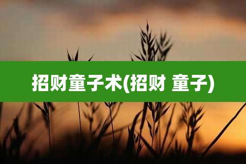 招财童子术(招财 童子)