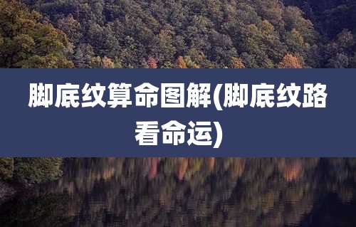 脚底纹算命图解(脚底纹路看命运)