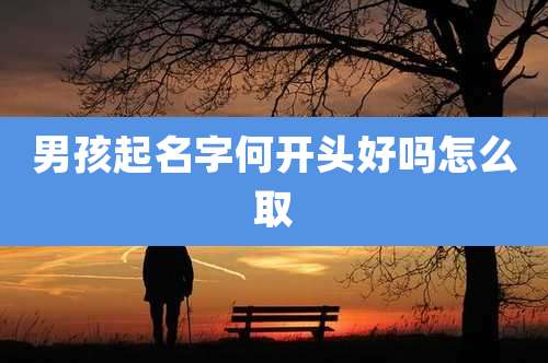男孩起名字何开头好吗怎么取