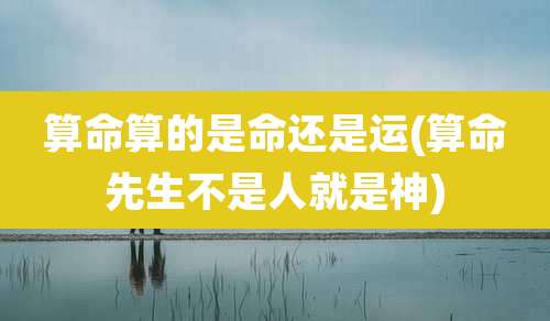 算命算的是命还是运(算命先生不是人就是神)