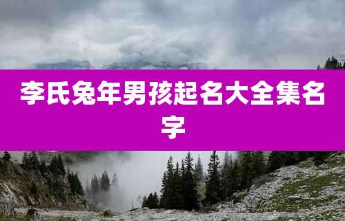 李氏兔年男孩起名大全集名字