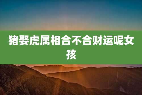 猪娶虎属相合不合财运呢女孩