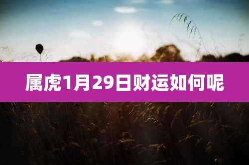 属虎1月29日财运如何呢