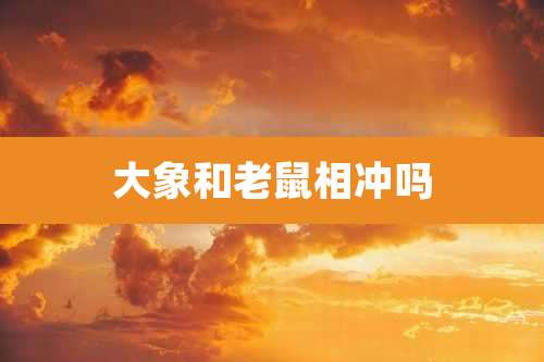 大象和老鼠相冲吗