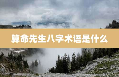 算命先生八字术语是什么