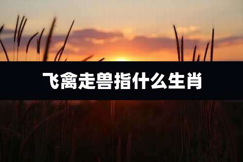 飞禽走兽指什么生肖