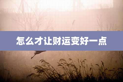 怎么才让财运变好一点