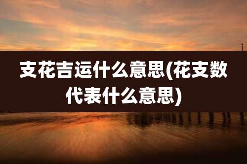支花吉运什么意思(花支数代表什么意思)