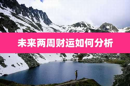 未来两周财运如何分析