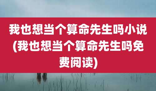 我也想当个算命先生吗小说(我也想当个算命先生吗免费阅读)