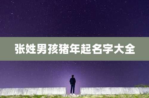 张姓男孩猪年起名字大全