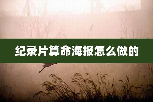 纪录片算命海报怎么做的