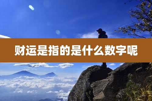 财运是指的是什么数字呢