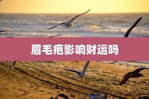 眉毛疤影响财运吗