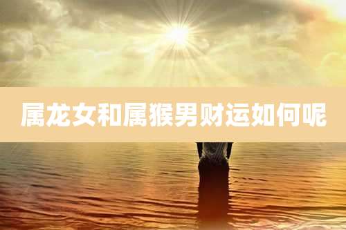 属龙女和属猴男财运如何呢