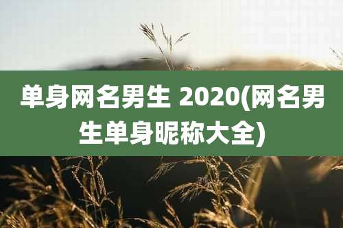 单身网名男生 2020(网名男生单身昵称大全)