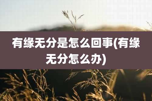 有缘无分是怎么回事(有缘无分怎么办)