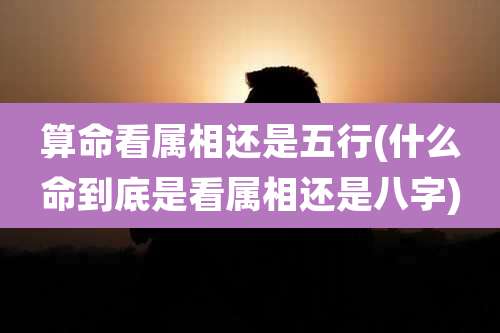 算命看属相还是五行(什么命到底是看属相还是八字)