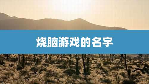 烧脑游戏的名字