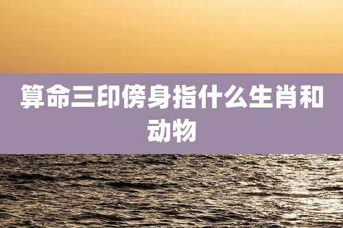 算命三印傍身指什么生肖和动物