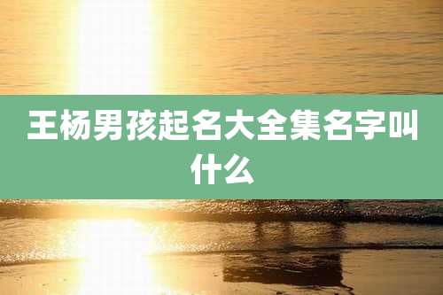 王杨男孩起名大全集名字叫什么