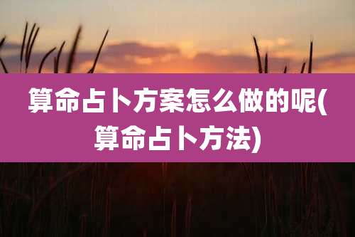 算命占卜方案怎么做的呢(算命占卜方法)