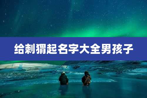 给刺猬起名字大全男孩子