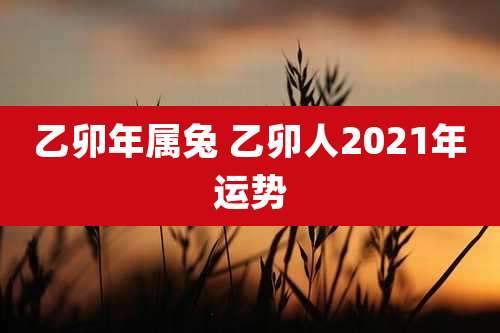 乙卯年属兔 乙卯人2021年运势